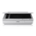 Epson B11B204121 scanner Flatbed scanner 600 x 600 DPI A4 White