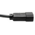 Tripp Lite Standard Computer Power Extension Cord, 13A, 16AWG (IEC-320-C14 to IEC-320-C13), 2-ft.