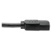 Tripp Lite Standard Computer Power Extension Cord, 13A, 16AWG (IEC-320-C14 to IEC-320-C13), 2-ft.