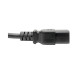 Tripp Lite P047-006-10A Power Cord, C19 to C14 - 10A, 100-250V, 16 AWG, 6 ft. (1.83 m), Black