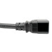 Tripp Lite P036-002-6 Power Extension Cord, C19 to C20 - Heavy-Duty, 20A, 250V, 12 AWG, 2 ft. (0.61 m), Black, 6-Pack