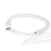 C2G 3ft Mini DP / DP 0.9 m DisplayPort Mini DisplayPort White