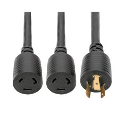 Tripp Lite 1ft L6-20P - 2 X L6-20R Black 0.3 m