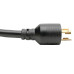 Tripp Lite 1ft L6-20P - 2 X L6-20R Black 0.3 m