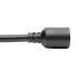 Tripp Lite 1ft L6-20P - 2 X L6-20R Black 0.3 m