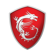 MSI Pro AP222T 13M-004US 54.6 cm (21.5