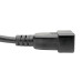 Tripp Lite P036-010-15A Power Extension Cord, C19 to C20 - Heavy-Duty, 15A, 250V, 14 AWG, 10 ft. (3.05 m), Black