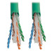 Tripp Lite N224-01K-GN Cat6 Gigabit Solid Core Plenum-Rated UTP CMP PVC Bulk Ethernet Cable, Green, 1000 ft. (304.8 m)