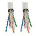 Tripp Lite N224-01K-WH Cat6 Gigabit Solid Core Plenum-Rated UTP CMP PVC Bulk Ethernet Cable, White, 1000 ft. (304.8 m)