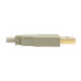 Tripp Lite U022-010-BE USB 2.0 A to B Cable (M/M), Beige, 10 ft. (3.05 m)