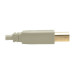 Tripp Lite U022-010-BE USB 2.0 A to B Cable (M/M), Beige, 10 ft. (3.05 m)