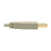 Tripp Lite U022-015-BE USB 2.0 A to B Cable (M/M), Beige, 15 ft. (4.57 m)