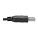Tripp Lite U209-006-2 2-Port USB to DB9 Serial FTDI Adapter Cable with COM Retention (M/M), 6 ft. (1.83 m)