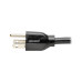 Tripp Lite P019-008-C15RA power cable Black 2.5 m NEMA 5-15P IEC 320
