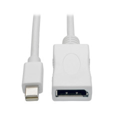 Tripp Lite P139-010-DP-V2B Keyspan Mini DisplayPort to DisplayPort Adapter Cable (M/F), 4K 60 Hz, DP 1.2, HDCP 2.2, 10 ft. (3.1 m)