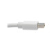 Tripp Lite P139-010-DP-V2B Keyspan Mini DisplayPort to DisplayPort Adapter Cable (M/F), 4K 60 Hz, DP 1.2, HDCP 2.2, 10 ft. (3.1 m)