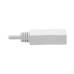 Tripp Lite P139-010-DP-V2B Keyspan Mini DisplayPort to DisplayPort Adapter Cable (M/F), 4K 60 Hz, DP 1.2, HDCP 2.2, 10 ft. (3.1 m)