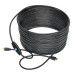 Tripp Lite P568-065-ACT Active High-Speed HDMI Cable with Built-In Signal Booster (M/M), Black, 65 ft. (19.81 m)