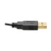 Tripp Lite P130-06N-DP-V2 4K HDMI to DisplayPort Active Adapter Video Converter with USB Power, HDMI to DisplayPort (M/F), 4K 30Hz, 6-in. (15.24 cm)