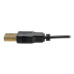 Tripp Lite P116-006-HDMI-A VGA to HDMI Adapter Cable with Audio and USB Power (M/M), 1080p 60 Hz, 6 ft. (1.8 m)