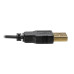 Tripp Lite P116-006-HDMI-A VGA to HDMI Adapter Cable with Audio and USB Power (M/M), 1080p 60 Hz, 6 ft. (1.8 m)