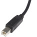 StarTech.com 6 ft USB 2.0 Certified A to B Cable - M/M
