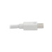 Tripp Lite P137-06N-HDVW Keyspan Mini DisplayPort to VGA/DVI/HDMI All-in-One Video Converter Adapter, White, 6-in. (15.24 cm)