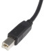 StarTech.com 10 ft USB 2.0 Certified A to B Cable - M/M