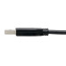 Tripp Lite U428-006 USB-C to USB-A Cable (M/M), USB 3.2 Gen 1 (5 Gbps), Thunderbolt 3 Compatible, 6 ft. (1.83 m)