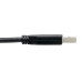 Tripp Lite U428-006 USB-C to USB-A Cable (M/M), USB 3.2 Gen 1 (5 Gbps), Thunderbolt 3 Compatible, 6 ft. (1.83 m)
