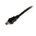 StarTech.com 1 ft USB Y Cable for External Hard Drive - USB A to mini B
