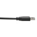 Tripp Lite U428-C03-G2 USB-C to USB-A Cable (M/M), USB 3.2 Gen 2 (10 Gbps), USB-IF Certified, Thunderbolt 3 Compatible, 3 ft. (0.91 m)