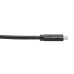 Tripp Lite U420-010 USB-C Cable (M/M) - USB 3.2, Gen 1 (5 Gbps), Thunderbolt 3 Compatible, 10 ft. (3.05 m)