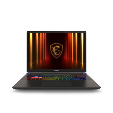 MSI Vector 16 HX AI A2XWHG-060US Intel Core Ultra 9 275HX Laptop 40.6 cm (16