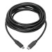 Tripp Lite U040-C13-C-5A USB-C Cable (M/M), USB 2.0, 5A (100W) Rated, USB-IF Certified, 13 ft. (3.96 m)