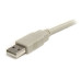 StarTech.com 10ft USB 2.0 Extension Cable A to A - M/F