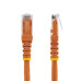 StarTech.com 100ft CAT6 Ethernet Cable - Orange CAT 6 Gigabit Ethernet Wire -650MHz 100W PoE RJ45 UTP Molded Network/Patch Cord w/Strain Relief/Fluke Tested/Wiring is UL Certified/TIA