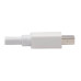 Tripp Lite P137-06N-HDR-W Mini DisplayPort to HDMI Active Adapter Video Converter (M/F) - 4K 60 Hz, HDR, DP 1.2, White, 6 in.