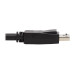 Tripp Lite Dual DisplayPort KVM Cable Kit - DP, USB, 3.5 mm Audio (3xM/3xM) + DP (M/M), 4K, 4:4:4, 10 ft. (3.05 m), Black