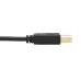 Tripp Lite DisplayPort KVM Cable Kit - DP, USB, 3.5 mm Audio (3xM/3xM) + USB (M/M), 4K, 4:4:4, 6 ft. (1.83 m), Black