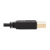 Tripp Lite DisplayPort KVM Cable Kit - DP, USB, 3.5 mm Audio (3xM/3xM) + USB (M/M), 4K, 4:4:4, 10 ft. (3.05 m), Black