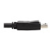 Tripp Lite DisplayPort KVM Cable Kit - DP, USB, 3.5 mm Audio (3xM/3xM) + USB (M/M), 4K, 4:4:4, 10 ft. (3.05 m), Black