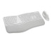 Kensington Pro Fit® Ergo Wireless Keyboard and Mouse—Gray