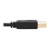 Tripp Lite DVI KVM Cable Kit - DVI, USB, 3.5 mm Audio (3xM/3xM) + USB (M/M), 6 ft. (1.83 m)