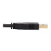 Tripp Lite DVI KVM Cable Kit - DVI, USB, 3.5 mm Audio (3xM/3xM) + USB (M/M), 6 ft. (1.83 m)