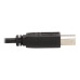 Tripp Lite DVI KVM Cable Kit - DVI, USB, 3.5 mm Audio (3xM/3xM) + USB (M/M), 6 ft. (1.83 m)