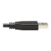 Tripp Lite U428-20N-G2 USB-C to USB-A Cable (M/M), USB 3.2 Gen 2 (10 Gbps), Thunderbolt 3 Compatible, 20-in. (50.8 cm)