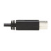 Tripp Lite U422-20N-G2 USB-C to USB-B Cable (M/M) - USB 3.2, Gen 2 (10 Gbps), Thunderbolt 3 Compatible, 20-in. (50.8 cm)