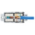 Tripp Lite N237A-P18N-WHSH Cat6a Junction Box Cable Assembly - Surface Mount, Shielded, PoE+, RJ45/110 Punchdown, 18-in. (45.72 cm), Blue