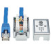 Tripp Lite N237A-P18N-WHSH Cat6a Junction Box Cable Assembly - Surface Mount, Shielded, PoE+, RJ45/110 Punchdown, 18-in. (45.72 cm), Blue